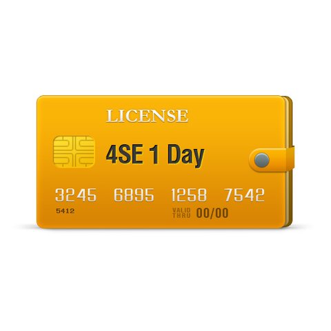 4SE licencia para 1 día